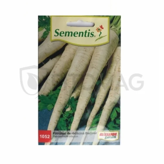 marketall202609170112522272590