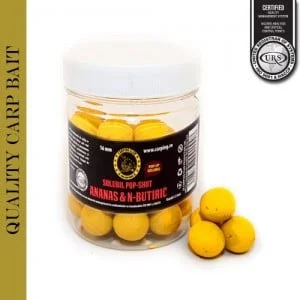 outlet-ieftin202609171457232356630